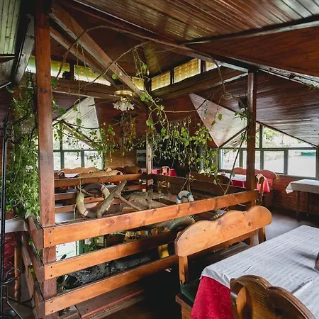 Pool And Splav Dunavac Futog