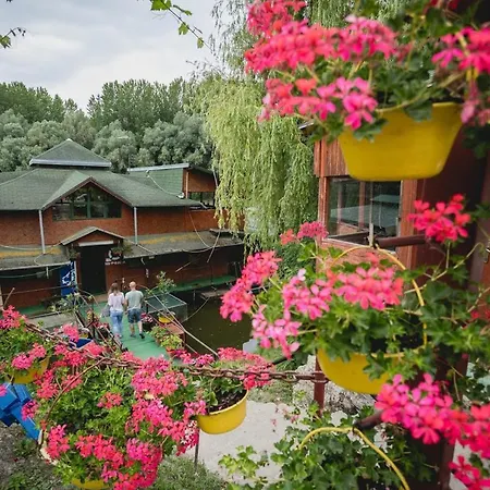 Pool And Splav Dunavac Nocleg ze śniadaniem