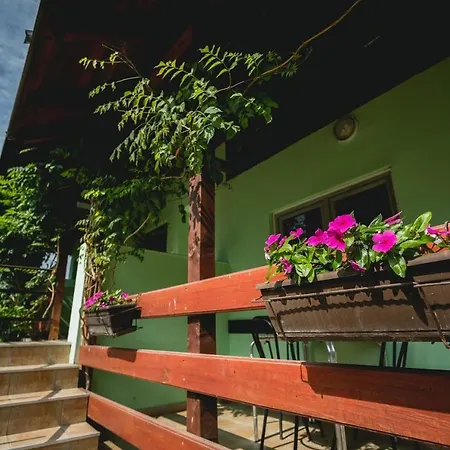 Pool And Splav Dunavac Nocleg ze śniadaniem