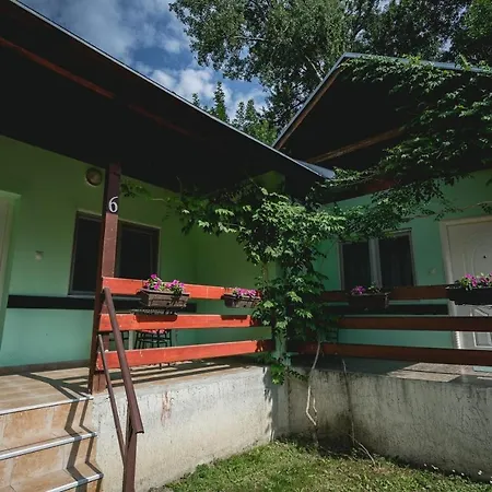 Nocleg ze śniadaniem Pool And Splav Dunavac Futog